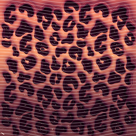 20oz integrate-EJ-159